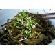 Guri Kombu Kelp Kurutulmuş Yosun 1 kg