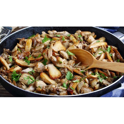 Pronto Fresco Porçini Mantar Konservesi (Dilimlenmiş) 800 gr