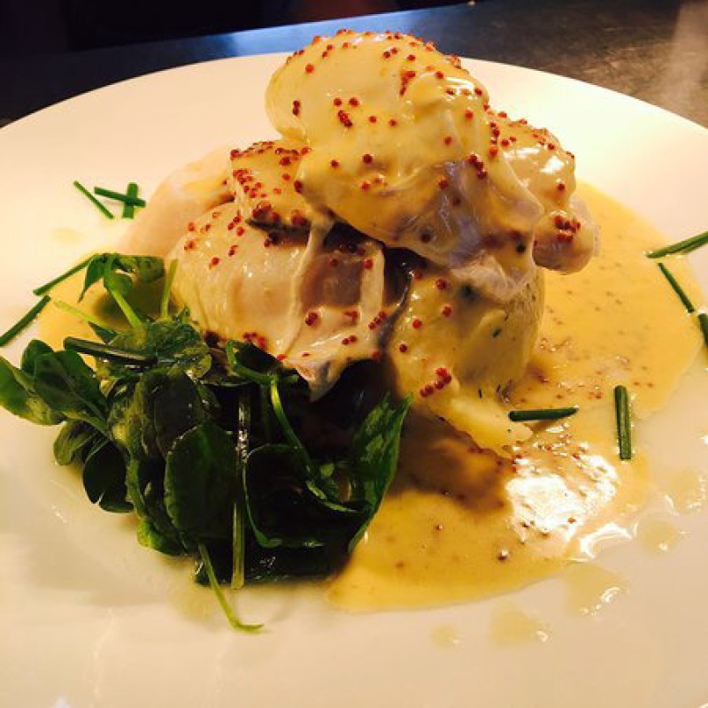 Maille Taneli Hardal 210 gr